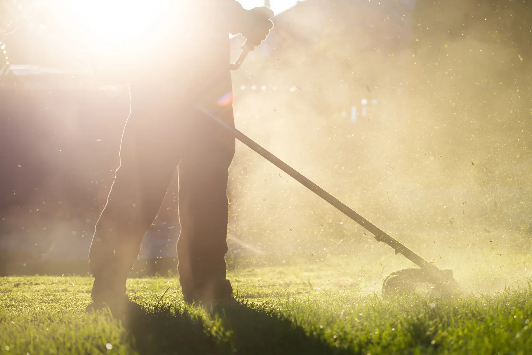 CJS Landscapes grounds maintenance operative strimming a lawn edge at golden hour