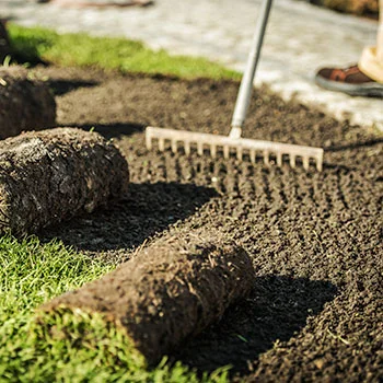 Freshly laid turf being raked as part of a lawn and turf care service in Sussex